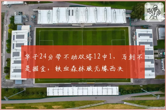 华子24分带不动双塔12中1,马刺不是掘金,铁血森林狼无缘西决