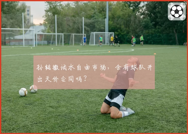 孙铭徽试水自由市场，会有球队开出天价合同吗？