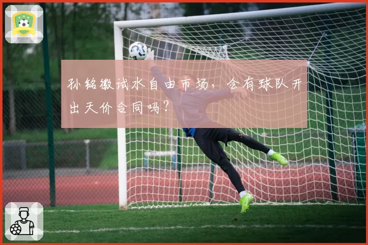 孙铭徽试水自由市场,会有球队开出天价合同吗?